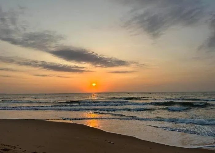 Khu nghỉ mát Orchid Phan Thiết