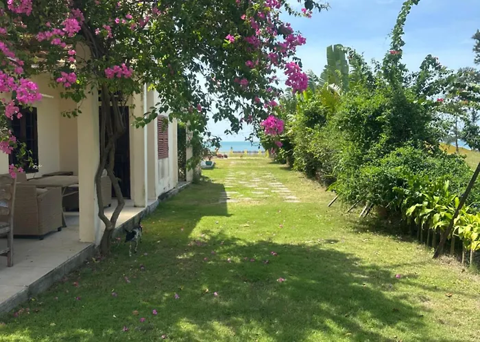 Orchid Phan Thiết