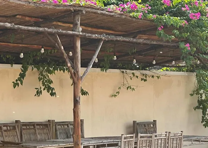 Orchid Station touristique Phan Thiết